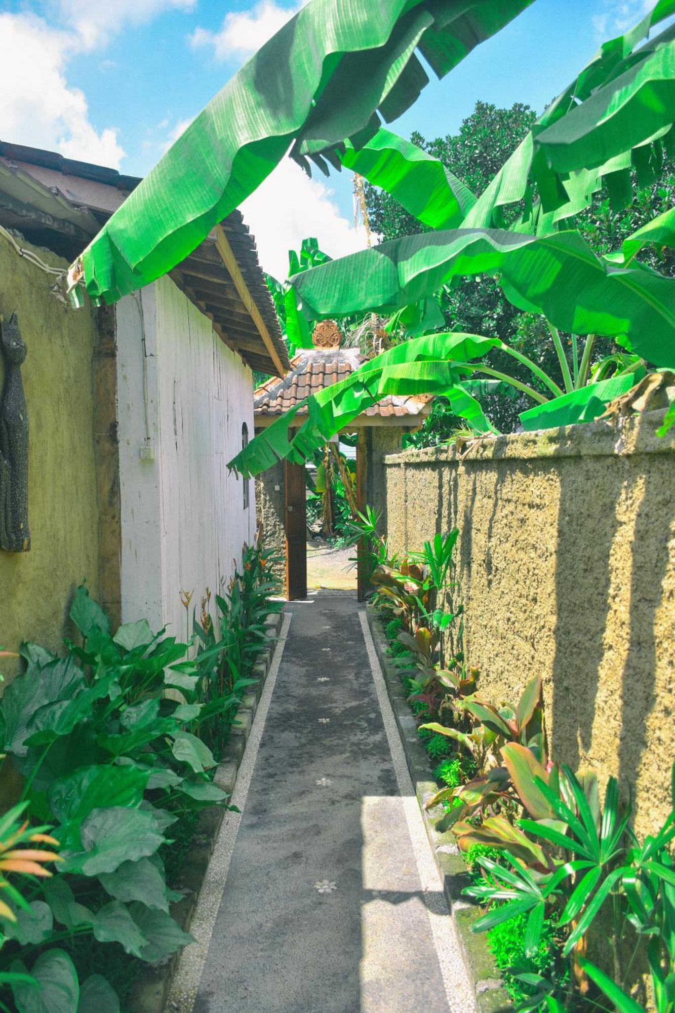 Ume Sita Villa And Homestay Ubud Eksteriør billede